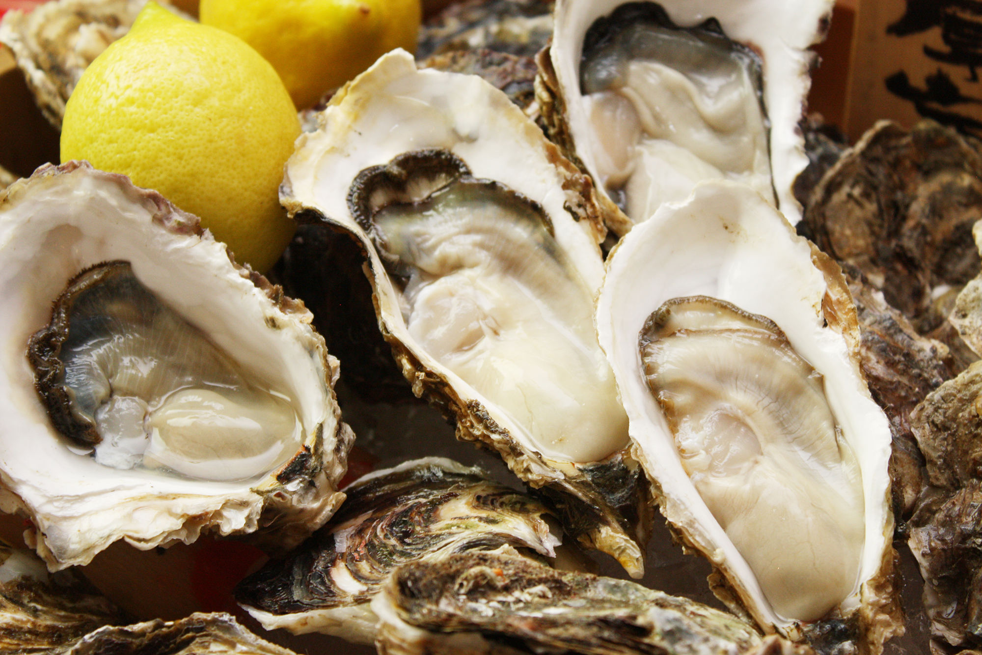 とうもろこしの天ぷら大人から子どもまでとうもろこしってみんな好きですよね🌽 はい、今年も天ぷらでお出しします🤲🏻『とうもろこしの天ぷら』690円 税別産直かきと炉端焼 恵比寿 牡蠣ツ端🚃JR山手線恵比寿駅西口より徒歩２分🏠東京都渋谷区恵比寿南1-9