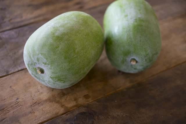 冬瓜 トウガン とは？旬の時期や栽培の方法は？HORTI by GreenSnap