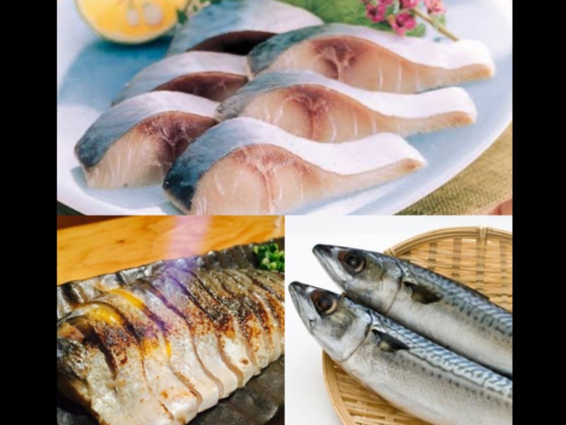 お料理公式 大衆魚メシ×炉ばた焼 サカナズキ