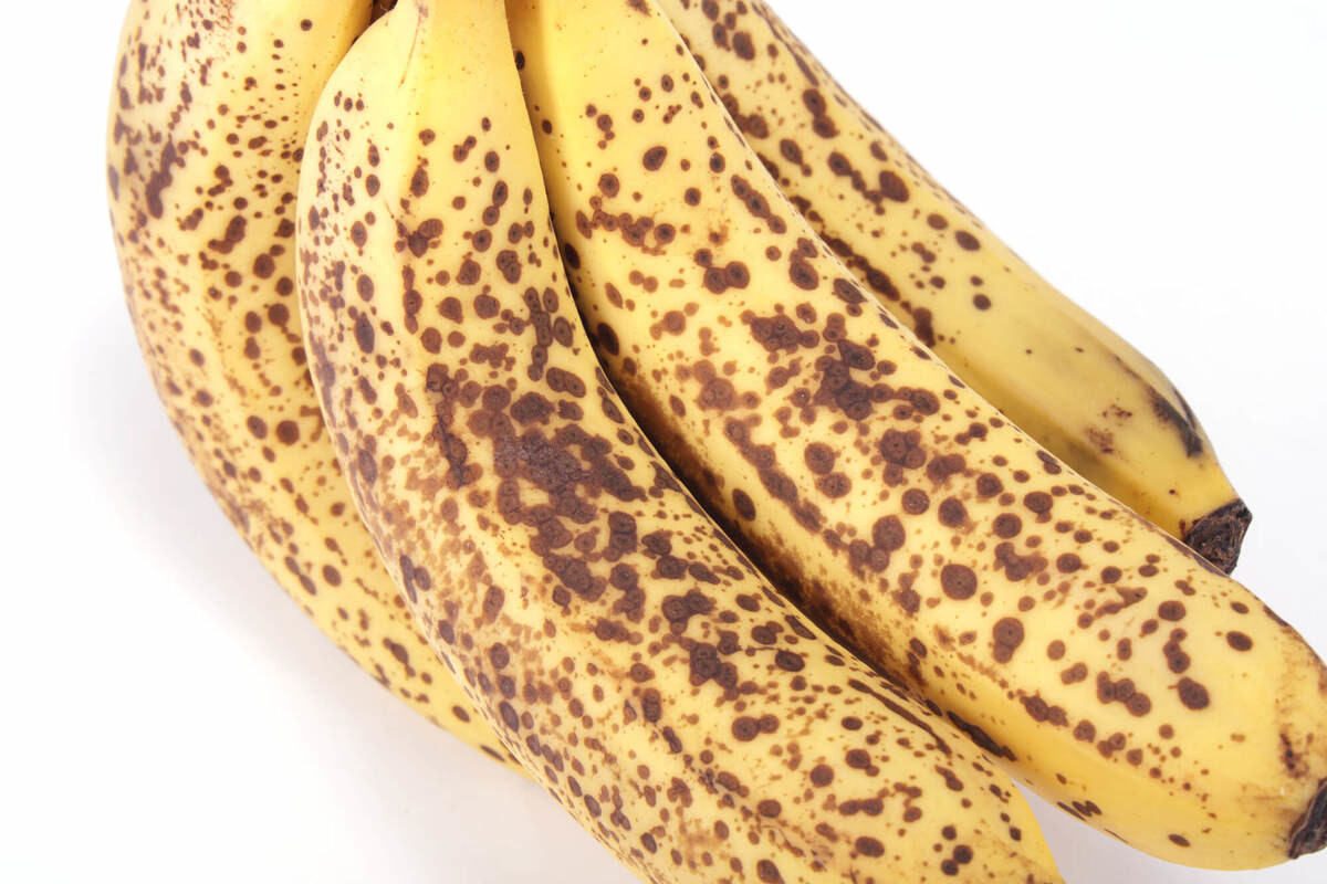 バナナの中身に茶色っぽい黒い筋。変色しやすい果物だけど食べないほうがいい現象もあるよって話。 閲覧注意まごころ365