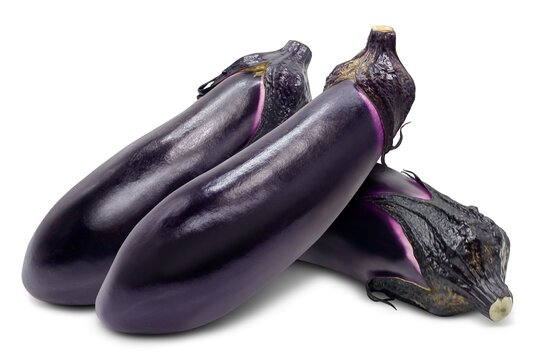 なす 写真素材1586022- フォトライブラリ