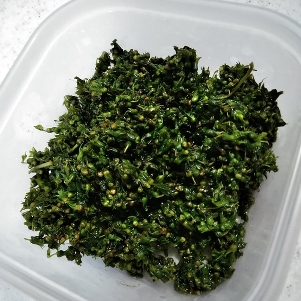 しその実の下ごしらえと塩漬け手順上澤梅太郎商店の風物詩