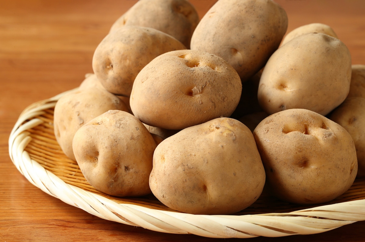 台所で芽が出たジャガイモ男爵そだレポ 栽培レポート byAYANOみんなの趣味の園芸