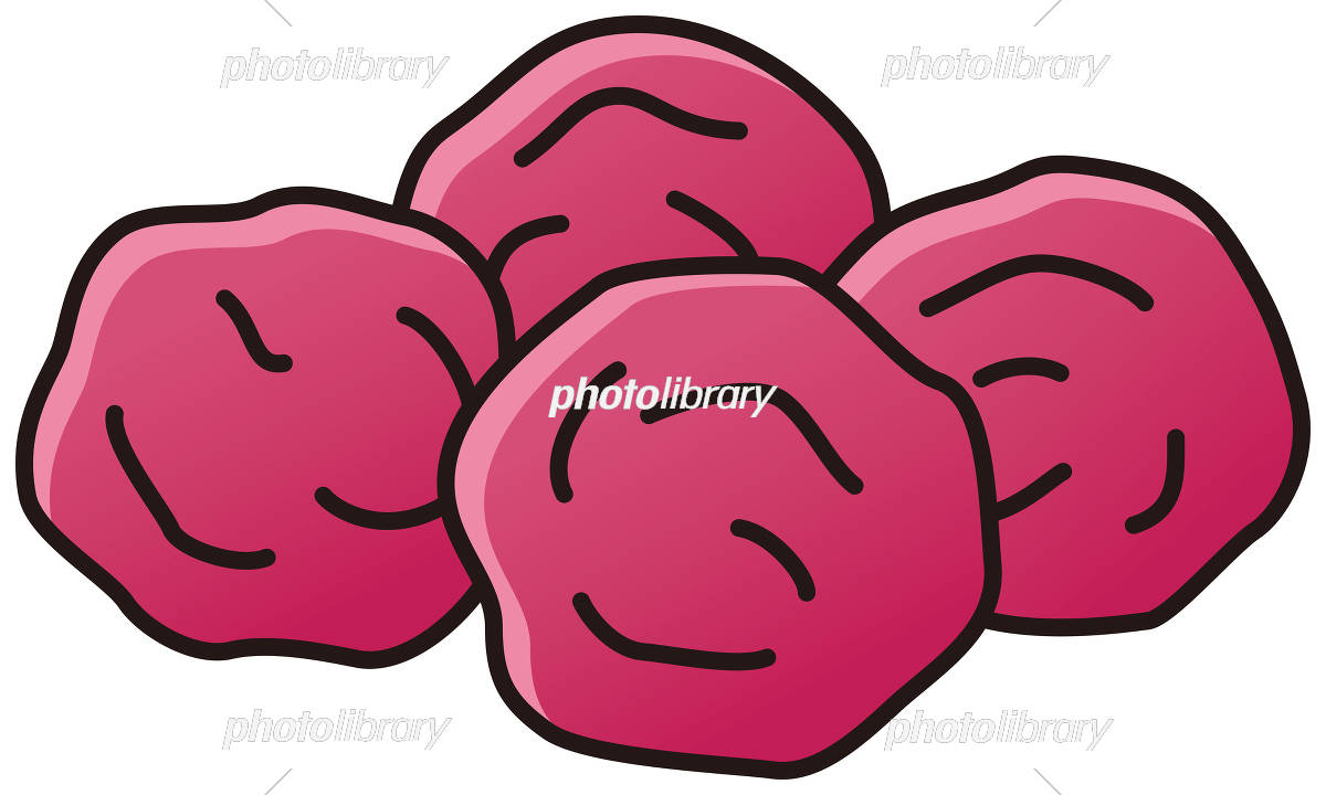 ピンク色の梅の花の水彩イラスト水彩の挿し絵屋さん