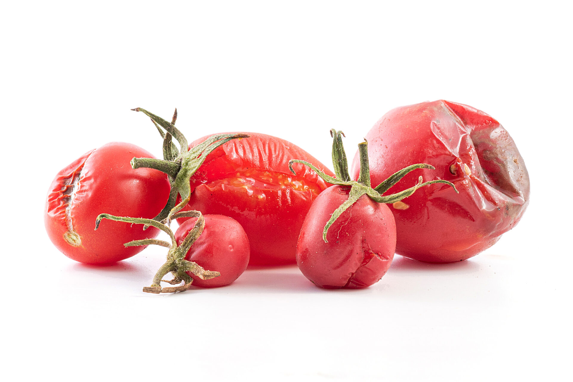 トマト実の一部が黒くなる尻腐れカルシウム欠乏ミライ菜園