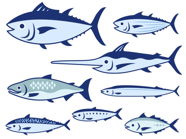 イワシの検索結果かわいいフリー素材集 いらすとや