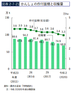 大丈夫？ 猛暑続きだった今年のサツマイモの収穫時期を見極めるのに必要な〇〇作業