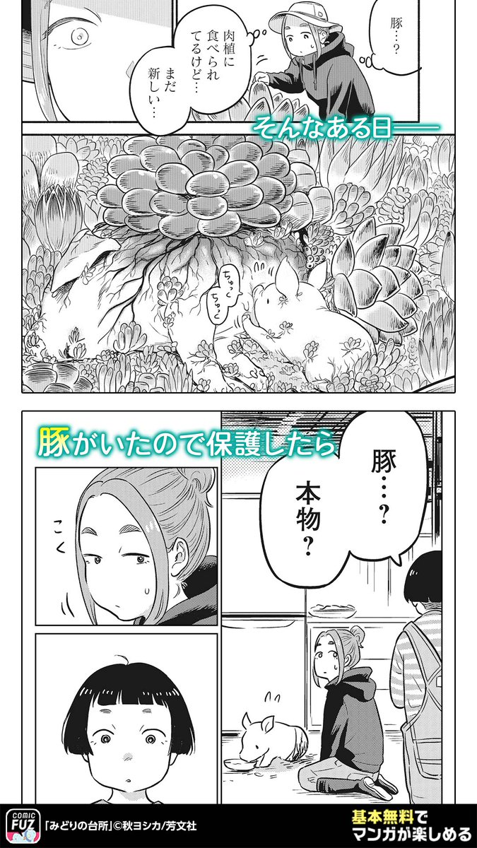 農場に住む2匹のかわいいブタが、食べられる物をさがして地面を探し回る。晴れた日の屋外で互いに面白い黒い小さな子豚の口。4k 25FPSで農業と豚の繁殖のコンセプト」の動画素材 ロイヤリティフリー 1104909311Shutterstock