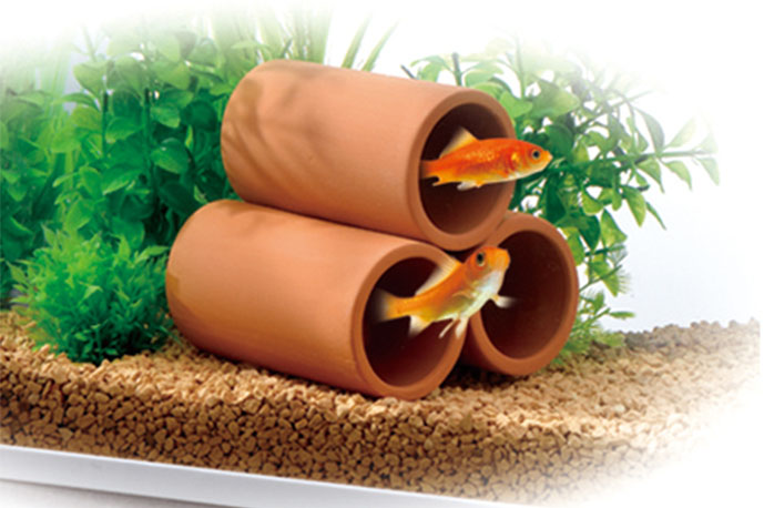 ジェックス 金魚元気キューブセット２００ : コーナンeショップ Yahoo!ショッピング店 - 通販 - Yahoo!ショッピング