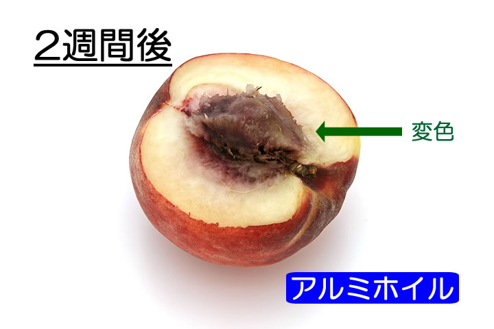 桃農家が教える！桃の保存方法と冷蔵庫・冷凍庫での保管方法