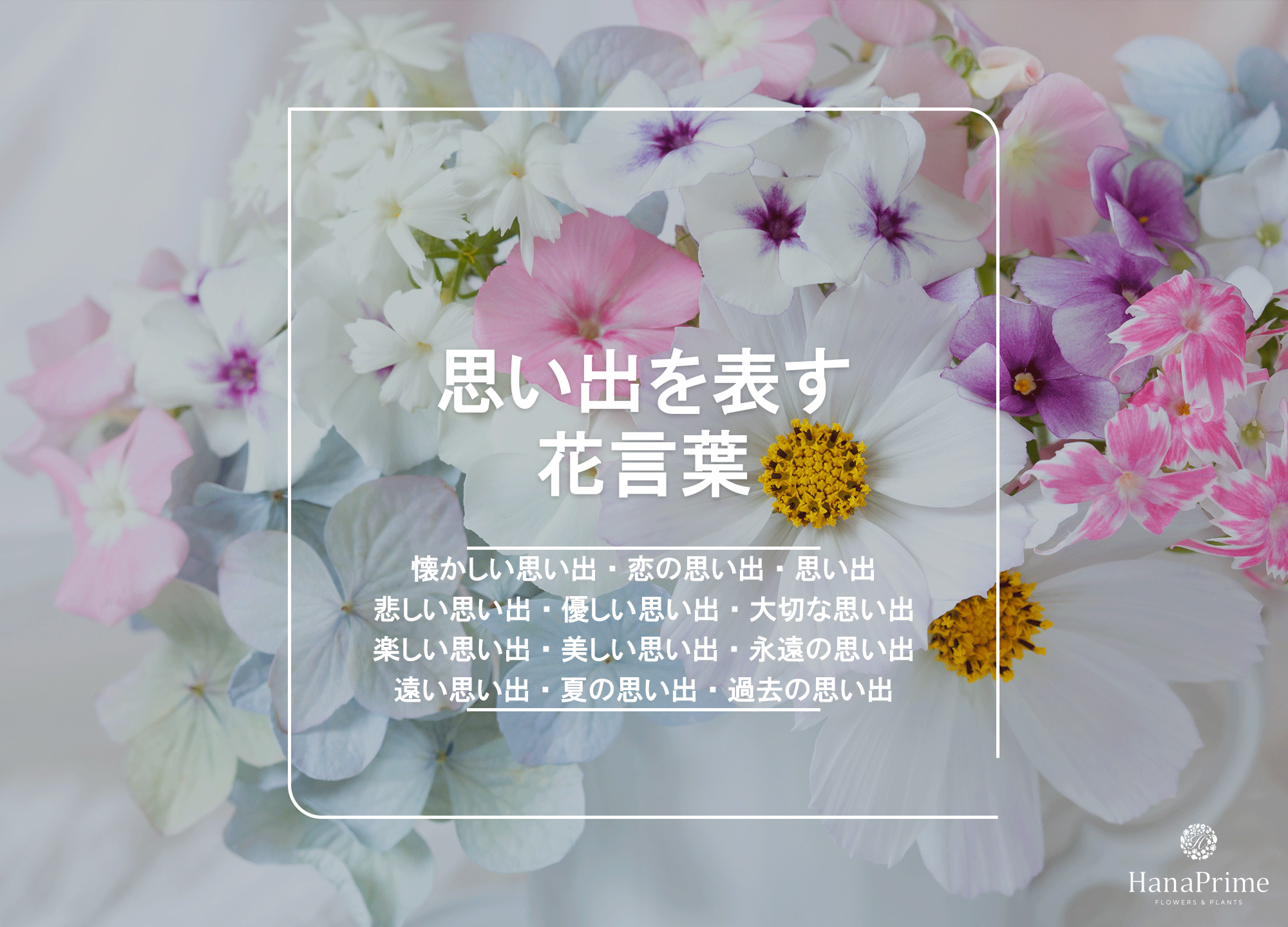 四季の花 キュウイの花言葉 : 正風冠句 文芸塔公式ブログ