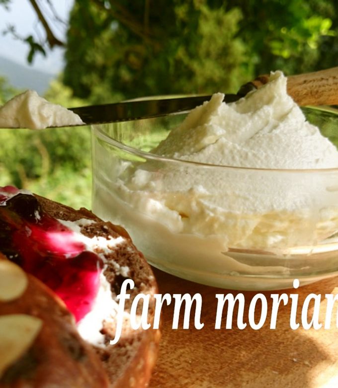 ミルクチーズケーキの作り方☆牛乳消費おやつレシピです♪手軽な材料で簡単！牛乳たっぷりでしっとり濃厚なチーズケーキです♪-How to makeMilk Cheesecake- 料理研究家ゆかり