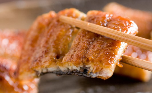 口コミ一覧 : 活鰻 - 新さっぽろ うなぎ食べログ