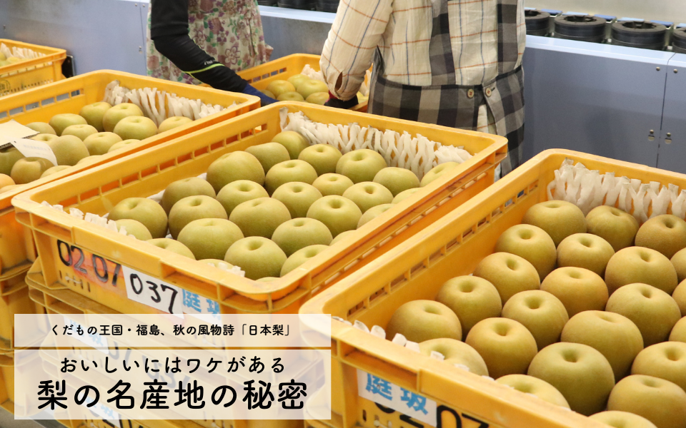 名前がわかる！フルーツ＆ベジタブル図鑑 - 株式会社 主婦の友社 主婦の友社の本