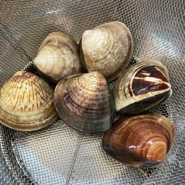 裏技でスピード砂抜き♪と<おひなまつり>に はまぐりの潮 うしお 汁♡Keep Smiling♪ 〜noripetit life〜おうちごはんと日々の事