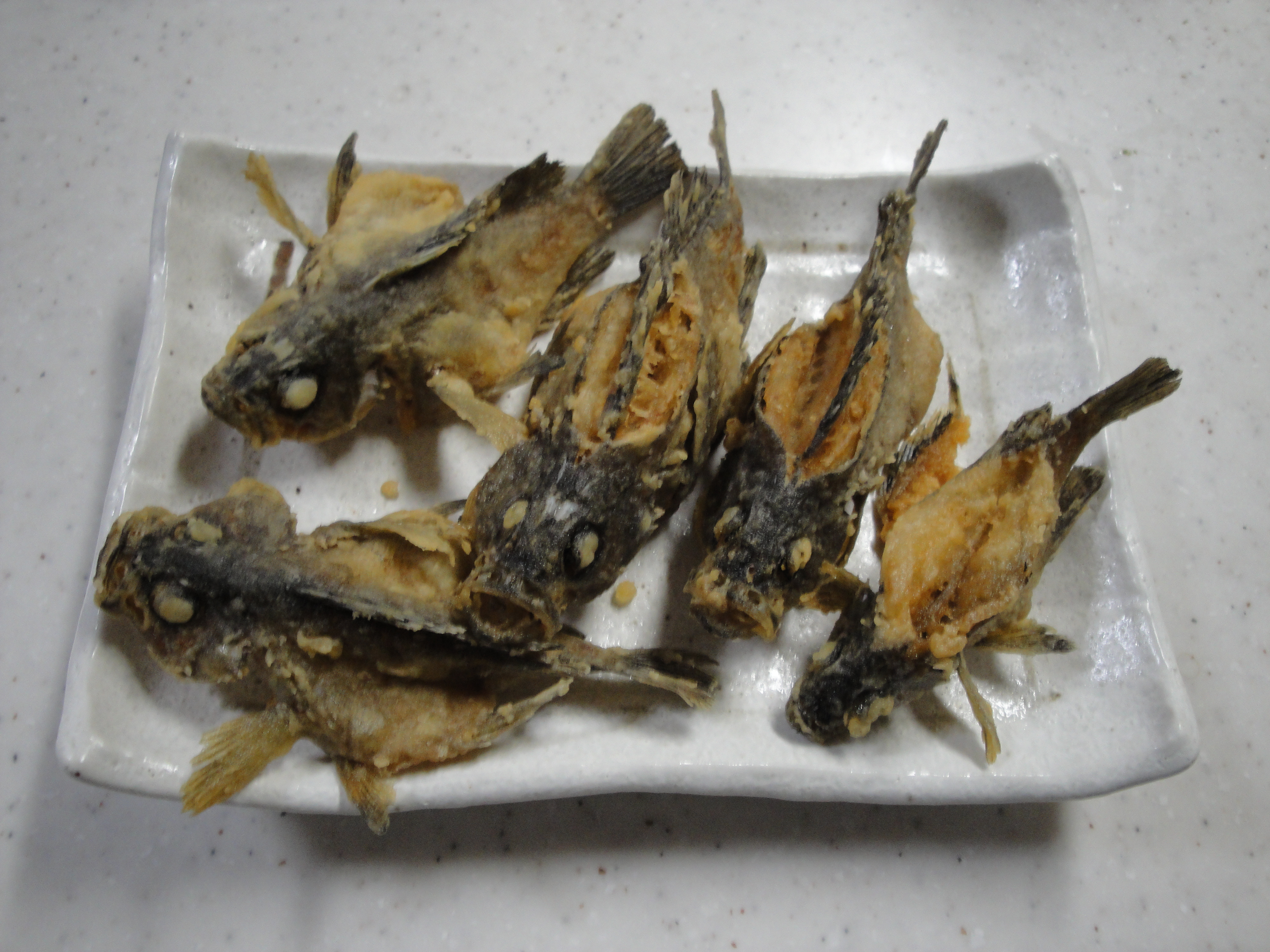 メバルを使ったおすすめ料理！釣り人が教える極上レシピ・5選TSURI HACK 釣りハック