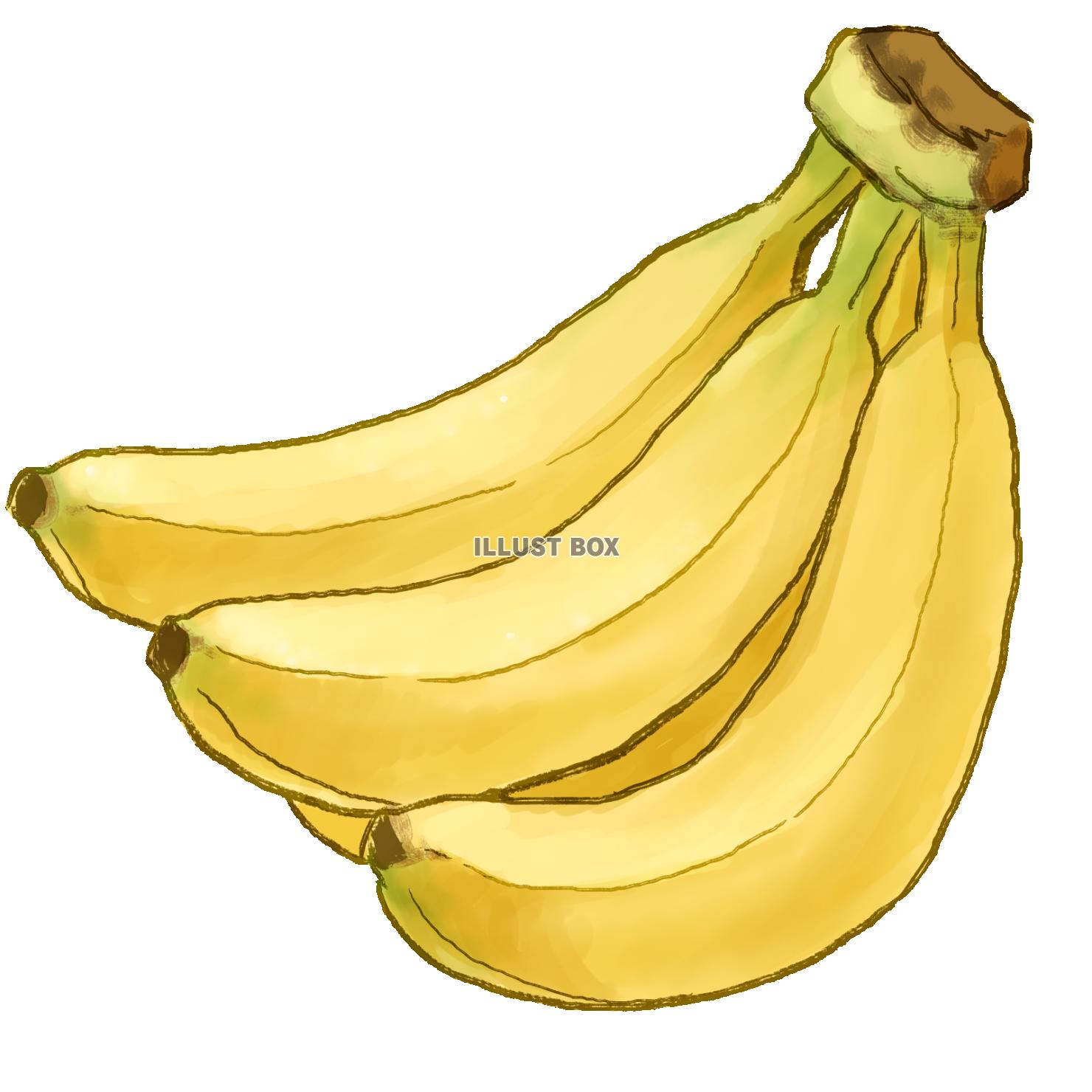 バナナのベクトル - 無料の高品質ベクトルを Freepik からダウンロードFreepik