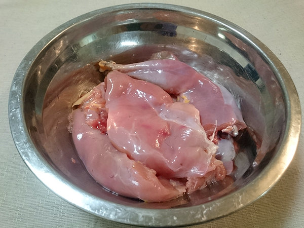 キジが食べるの写真 - 無料の高画質写真をダウンロードFreepik