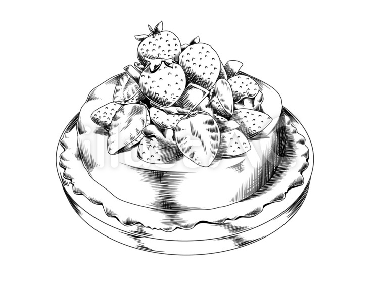 誕生日ケーキのホールのアップと白バック 写真素材6092889- フォトライブラリ