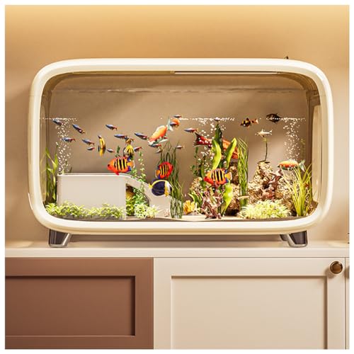 ⭐︎と も⭐︎GEXなど 金魚、メダカセット 楽天市場エントリー購入でP5倍