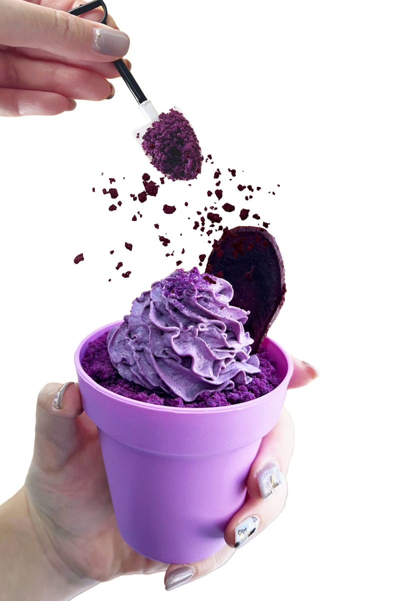 紫いも』と『五郎島金時』 2種のお芋のおはぎ 中のお米は石川県産かぐらもち米 秋の彩 御菓子司つば屋 石川県金沢市松村5-1☎︎076-268-2718つば屋 御菓子司つば屋 金沢和菓子金沢スイーツ 秋 おはぎ 紫芋 五郎島金時 かわに芋スイーツ金沢おはぎ 静と動