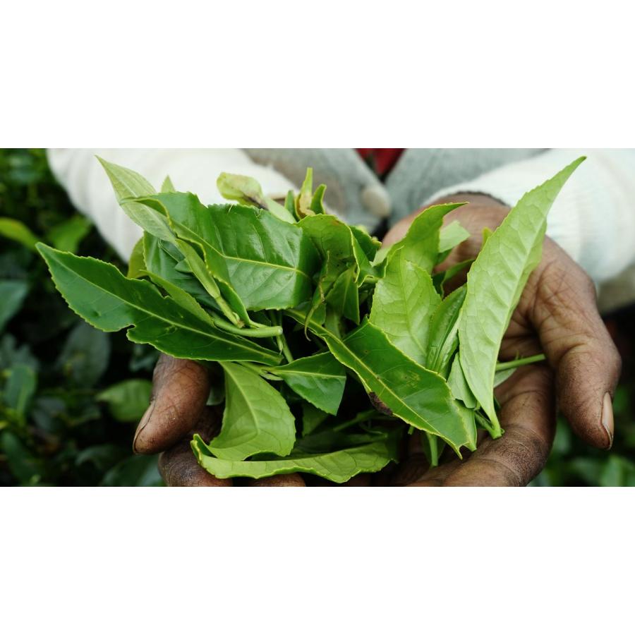 ３分の１ルール 納入期限・販売期限・賞味期限１２月２４日 : 岩殿満喫クラブ 岩殿 Day by Day