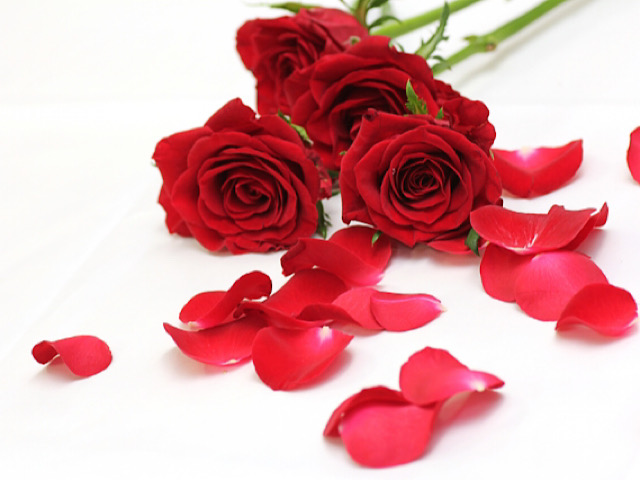 フランス語で彩る 花 会話：好きな花は？定番の花の名前から国花、文化まで徹底ガイドフランス語勉強の教材