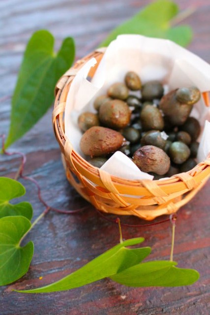 ヤマノイモ やまのいも 山芋 - 庭木図鑑 植木ペディア