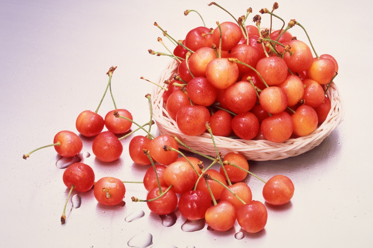 増毛町から『秋の旬の果物』のご紹介です🍇🍑 9月上旬のおすすめは・プルーン ・ぶどう ・桃甘くてみずみずしい、幸せなフルーツが増毛には揃います！増毛町は、日本最北のフルーツの里！海の町と思われがちですが 実は充実のフルーツロードが存在しているのです