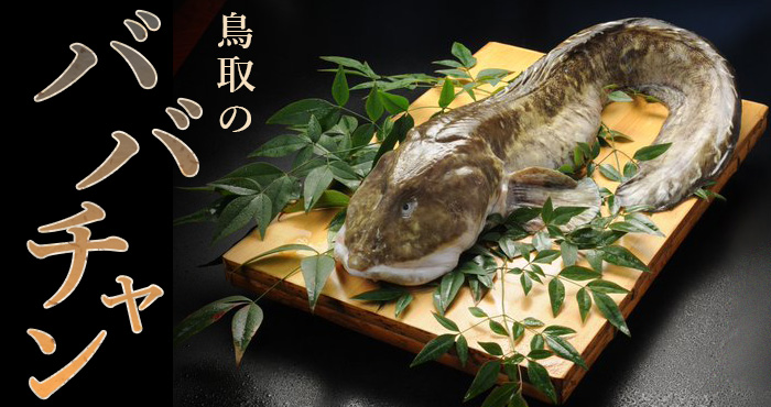 これから旬を迎える魚介類は？ 知っておきたい魚の旬カレンダー - ウェザーニュース