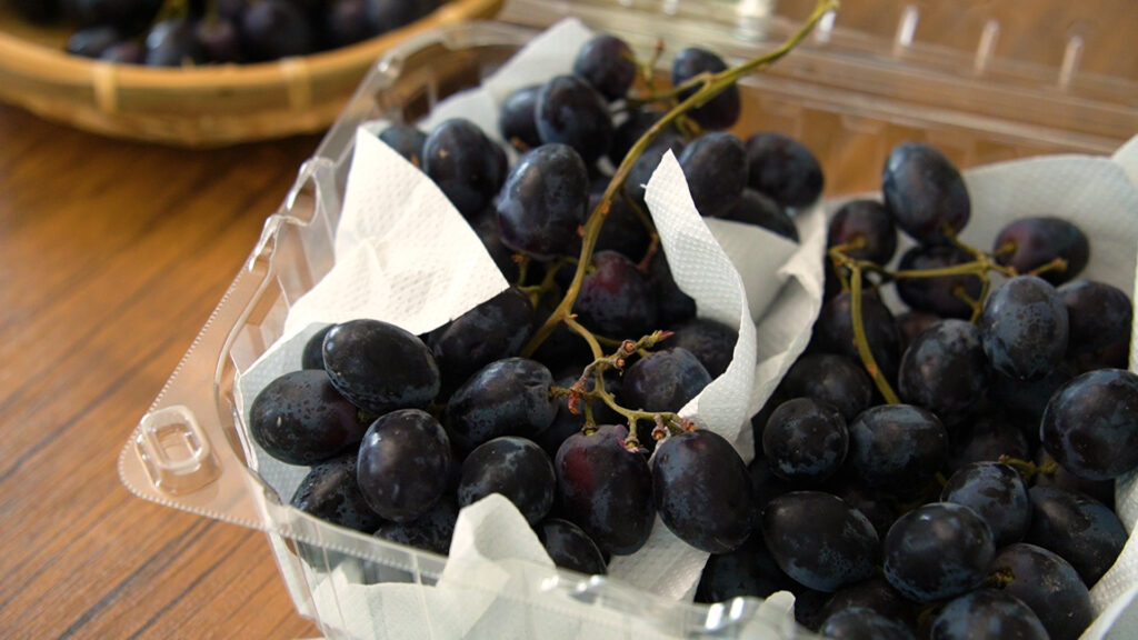 コストコのトロピカルマリアグレープ☆新商品冷凍フルーツのぶどうがデザートに最高過ぎる♪コストコ・ゲッツ