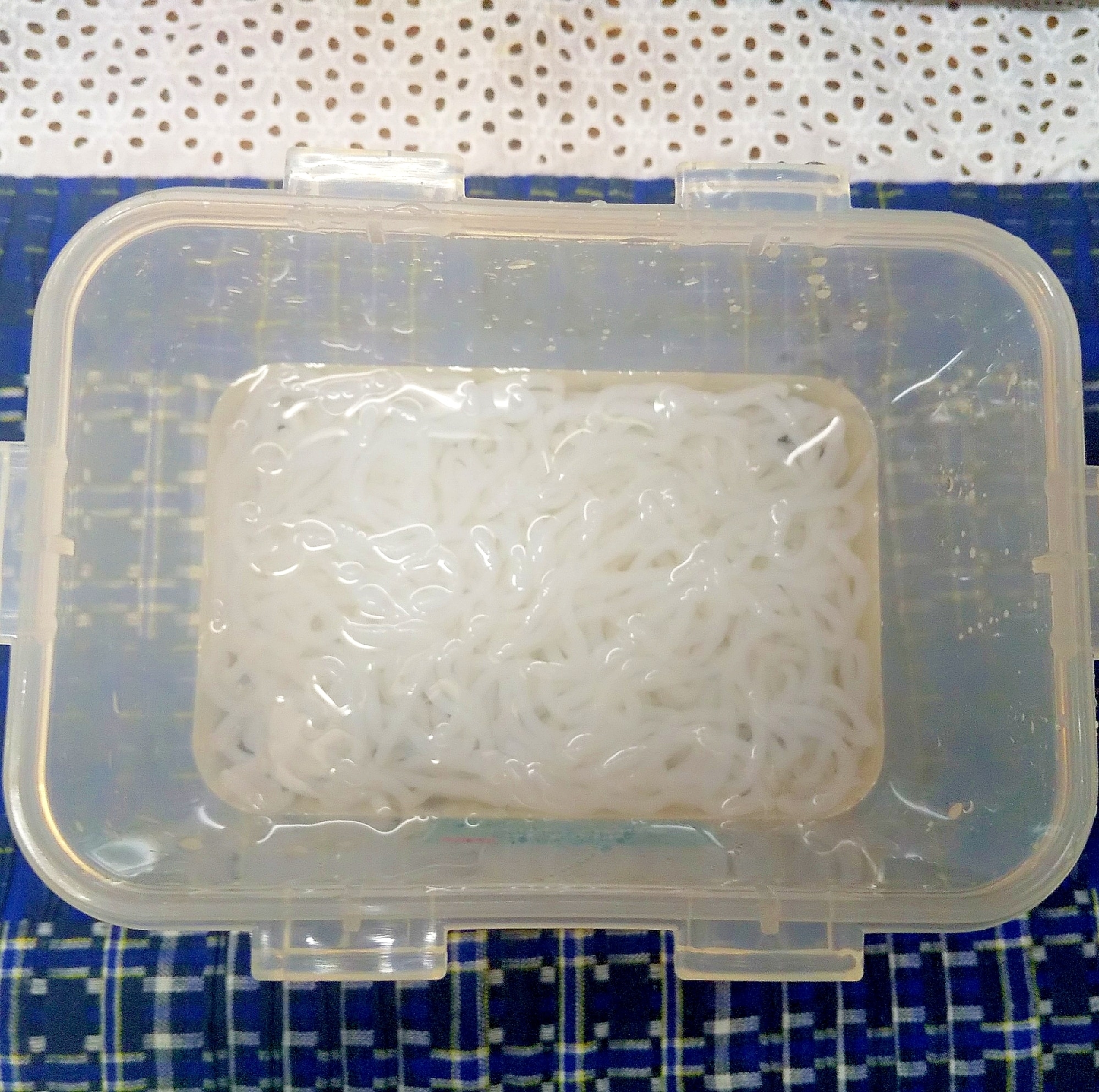 こんにゃくの保存方法と裏技長期保存や解凍のポイントをご紹介