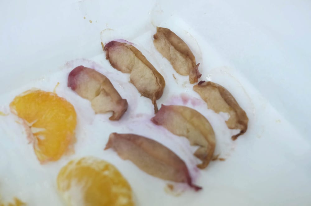 ドライフルーツ株式会社コメットカトウ