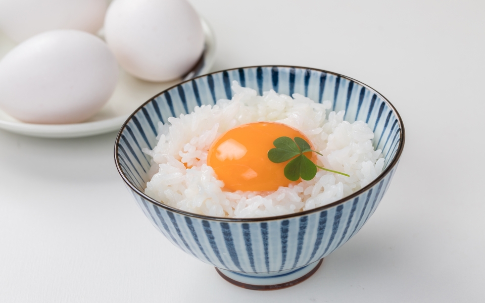 寿司折１合容器は何貫用？サイズの選び方解説折箱屋.jp