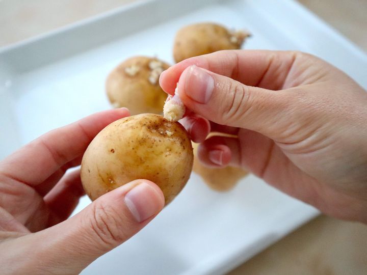 じゃがいもは発芽しても芽を取れば食べられると聞いたのですが、ここまで- Yahoo!知恵袋