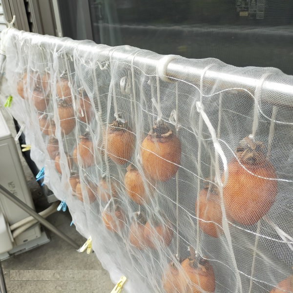 干し柿の作り方を見て人生初の干柿づくり♪♪ 熱湯消毒、焼酎スプレー、柿縄 etc - 村内伸弘のブログが好き😍