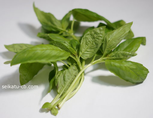 バジルの保存方法
