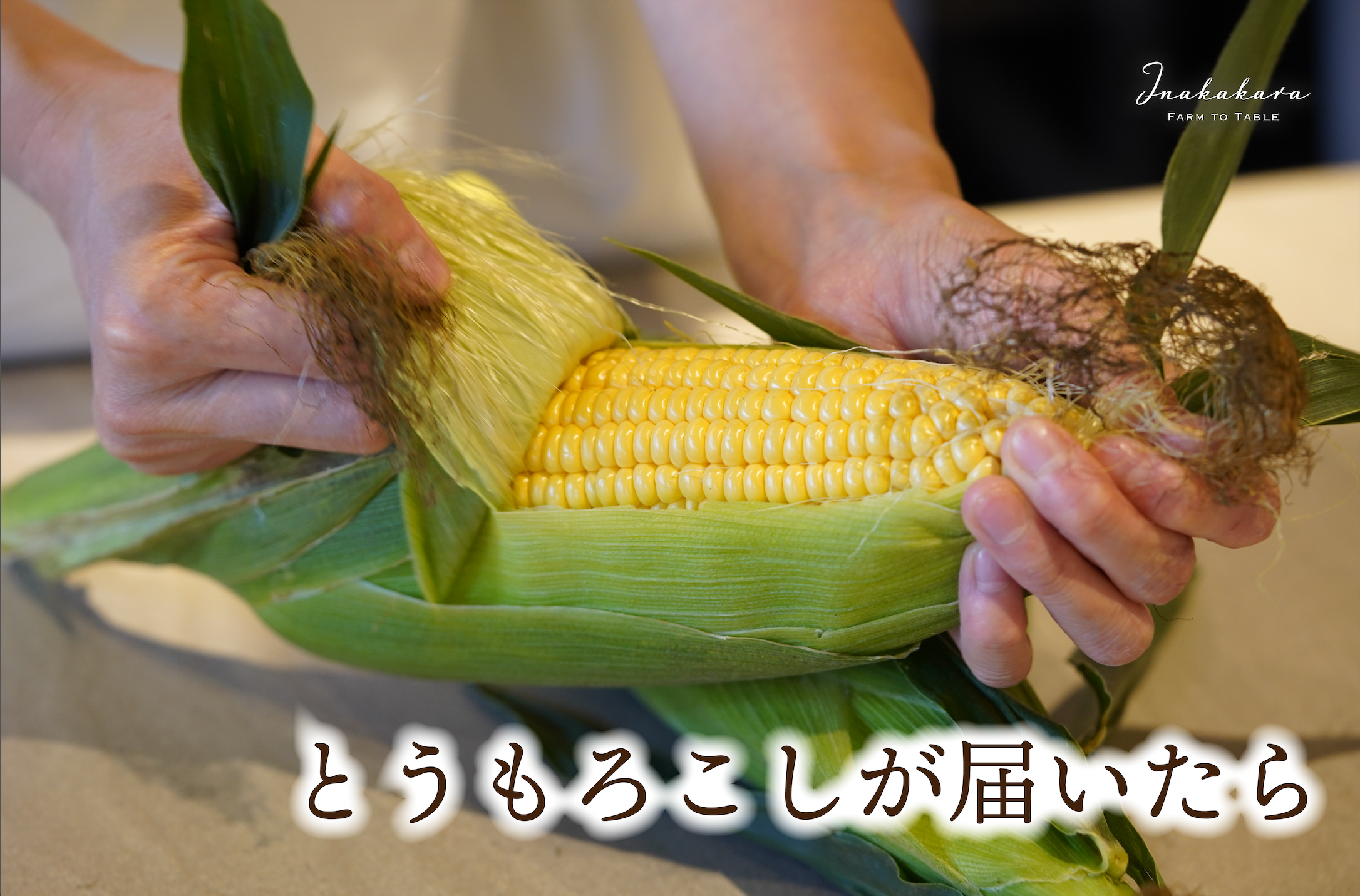 ヤングコーン の鮮度を保つ『正しい保存方法』とは？冷蔵？冷凍？食・料理オリーブオイルをひとまわし