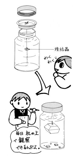 実験 塩の結晶作りに挑戦！！「誰でもできる美しい塩の結晶を作る方法」