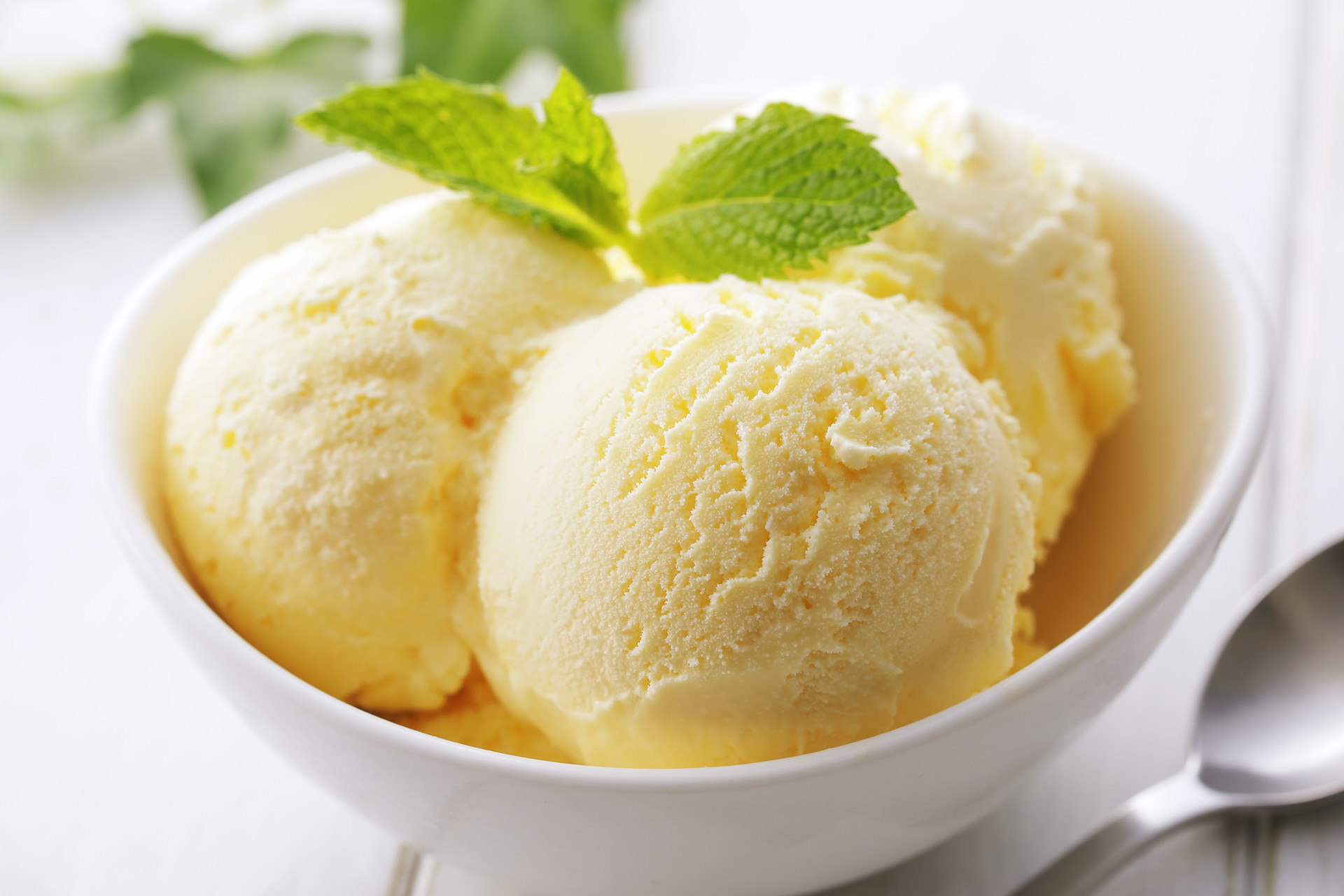 関東 可愛すぎる♡ 夏に巡りたいアイスクリームショップ7選bis ビス