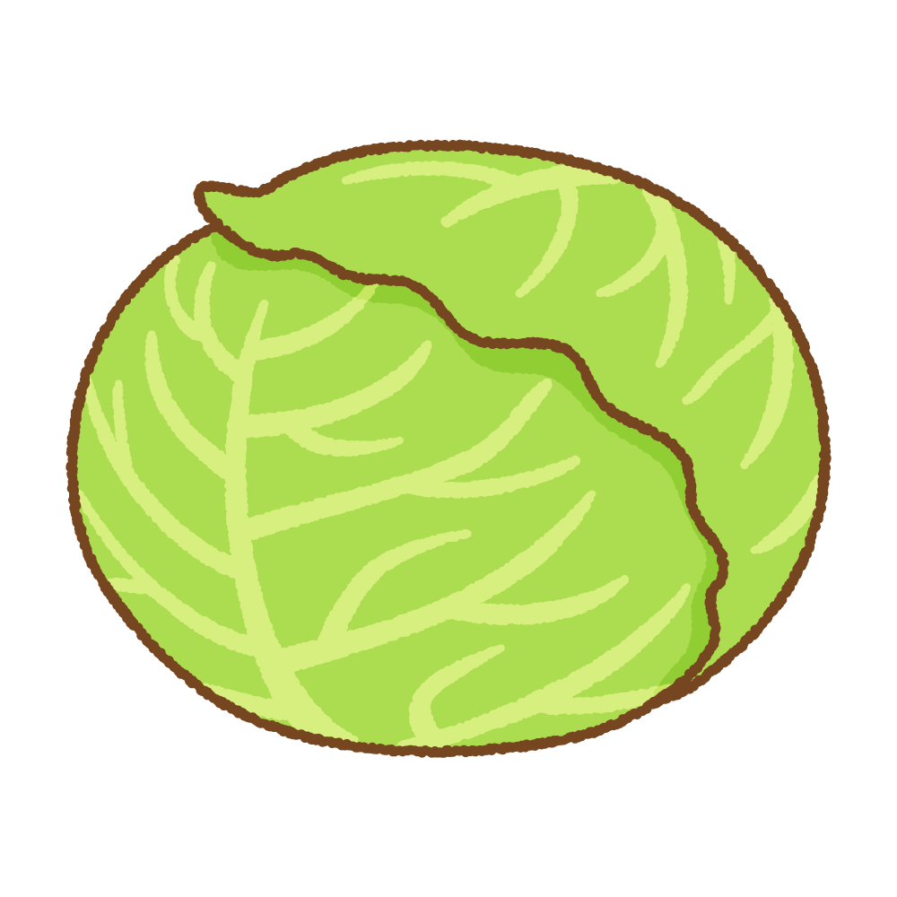 無料 キャベツ 画像と動画 DepositPhotosでダウンロード