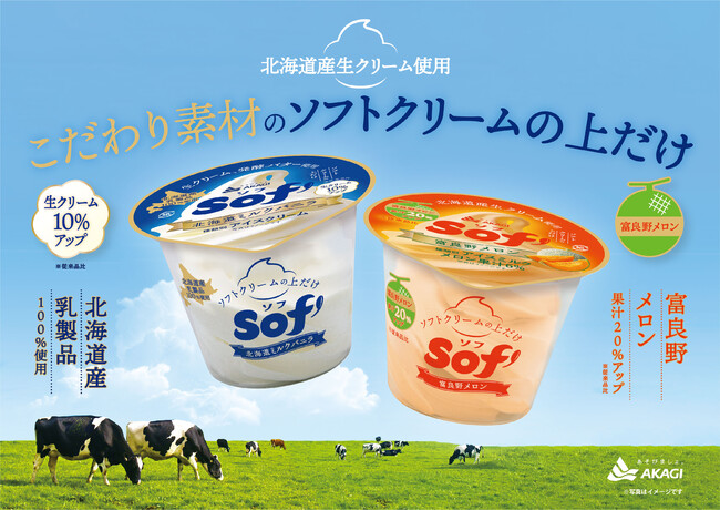 ボケ味の夏のビーチの背景にフルーツトッピングアイスクリームコーンとカップアイスクリームバナー広告Premiumベクトル素材