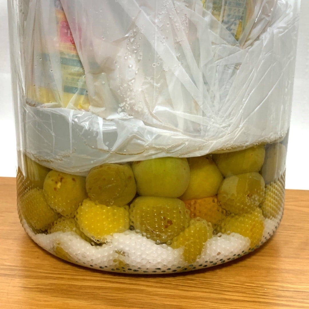 青梅の梅干し 〜追熟の記録〜 by なーちゃんのお鍋クックパッド簡単おいしいみんなのレシピが392万品