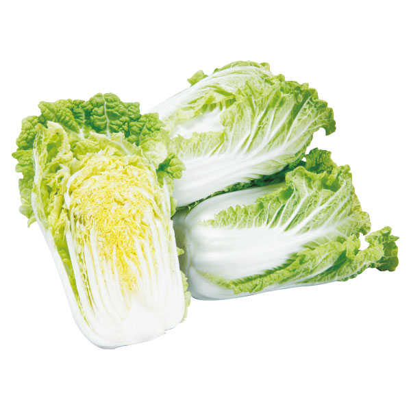 先行予約ミニ白菜 3個 6個 野菜 やさい 白菜 はくさい 鍋 スープ 味噌汁 漬物 餃子 キムチ ギフト 贈り物 プレゼント お取り寄せ グルメビタミン 健康 美容 冷蔵 個包装 産地直送 新鮮 送料無料 徳島県 阿波市 GOTTSO阿波