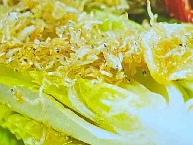 タルティフレット」 人気レシピみんなのきょうの料理 おいしいレシピや献立を探そう