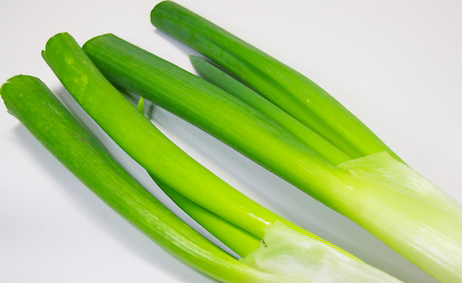 長ねぎの緑色部分は食べられる？食べられない！？食宣伝