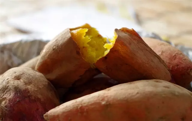 さつまいもは収穫後に干すと甘くなる？おいも美腸研究所