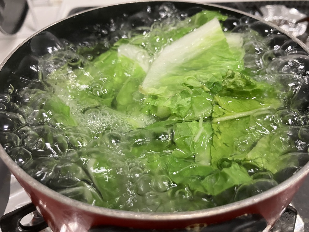 白菜の冷凍保存方法！洗う・洗わない？正解が分かる野菜保存法