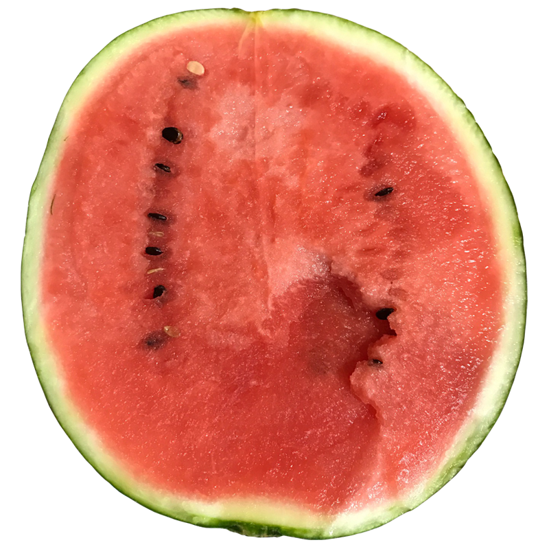 まとめ スイカのフリーイラスト素材集イラストイメージ