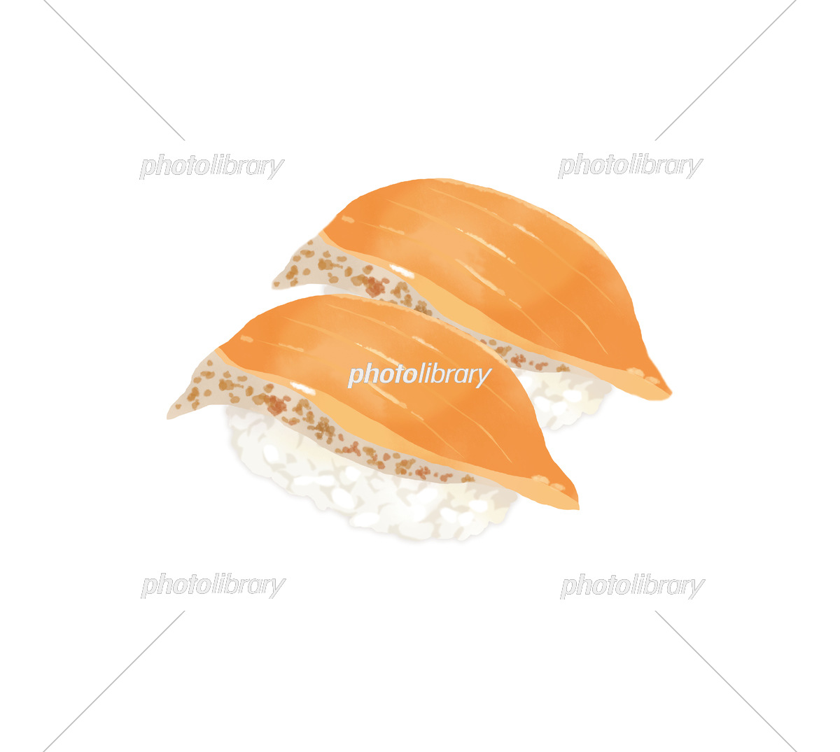 リアルで美味しそうなサーモンのお寿司のイラストレーション イラスト素材6697544- フォトライブラリ